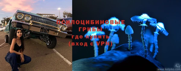 трава Алзамай